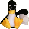 JPS